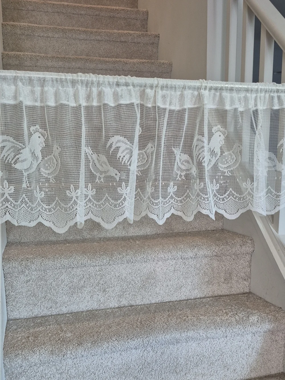 White Rooster Chick Lace Valance Curtain 60x14